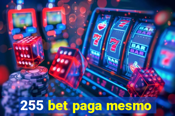 255 bet paga mesmo